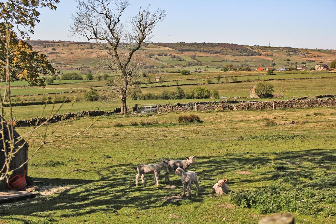 Moorland View Farm B&B Oakamoor Eksteriør billede